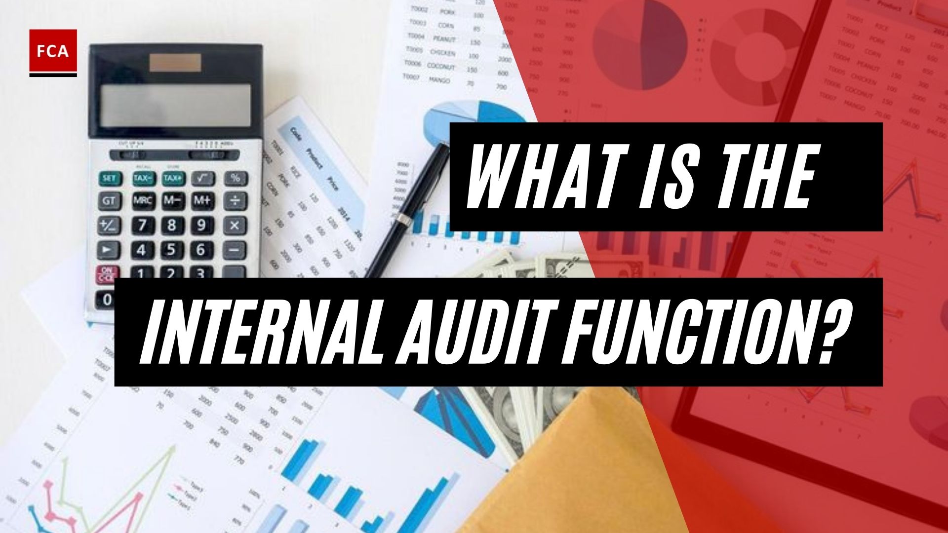 What Is The Internal Audit Function