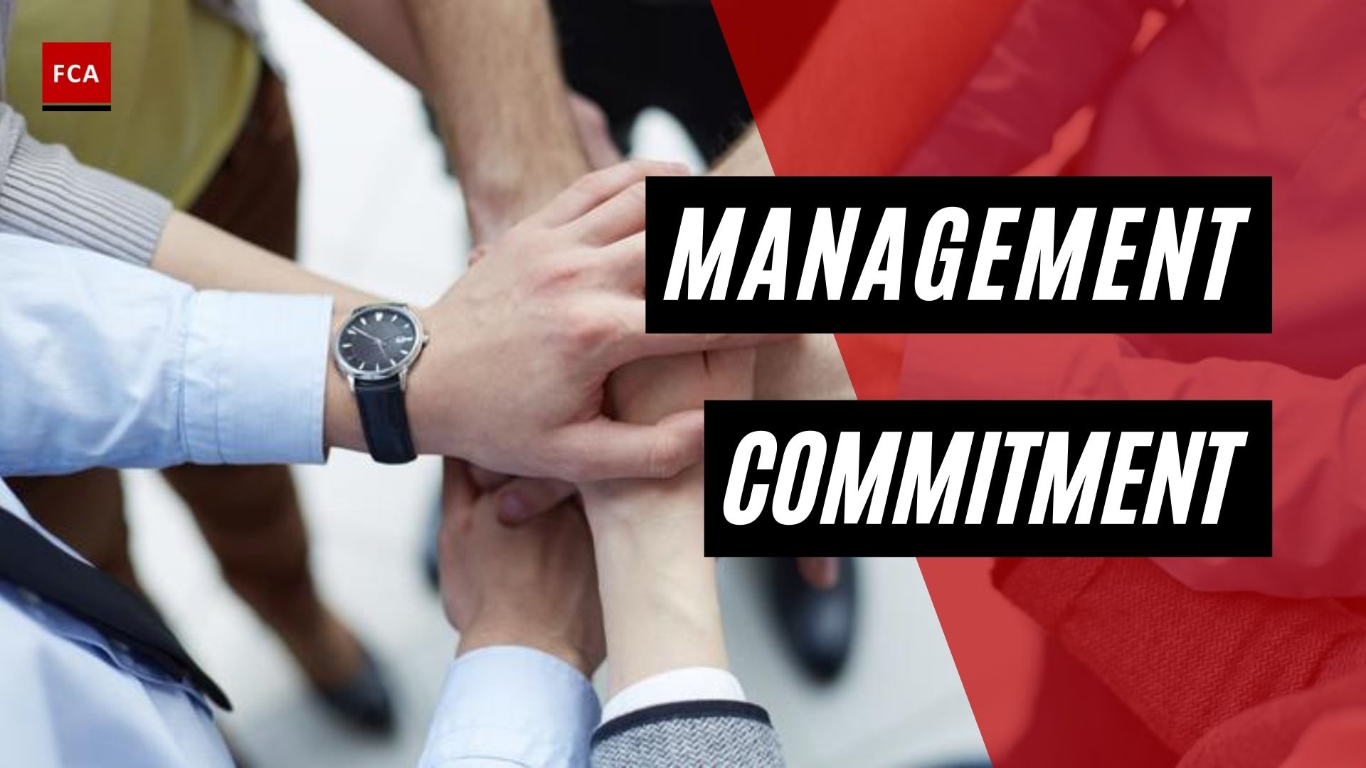 Management Commitment