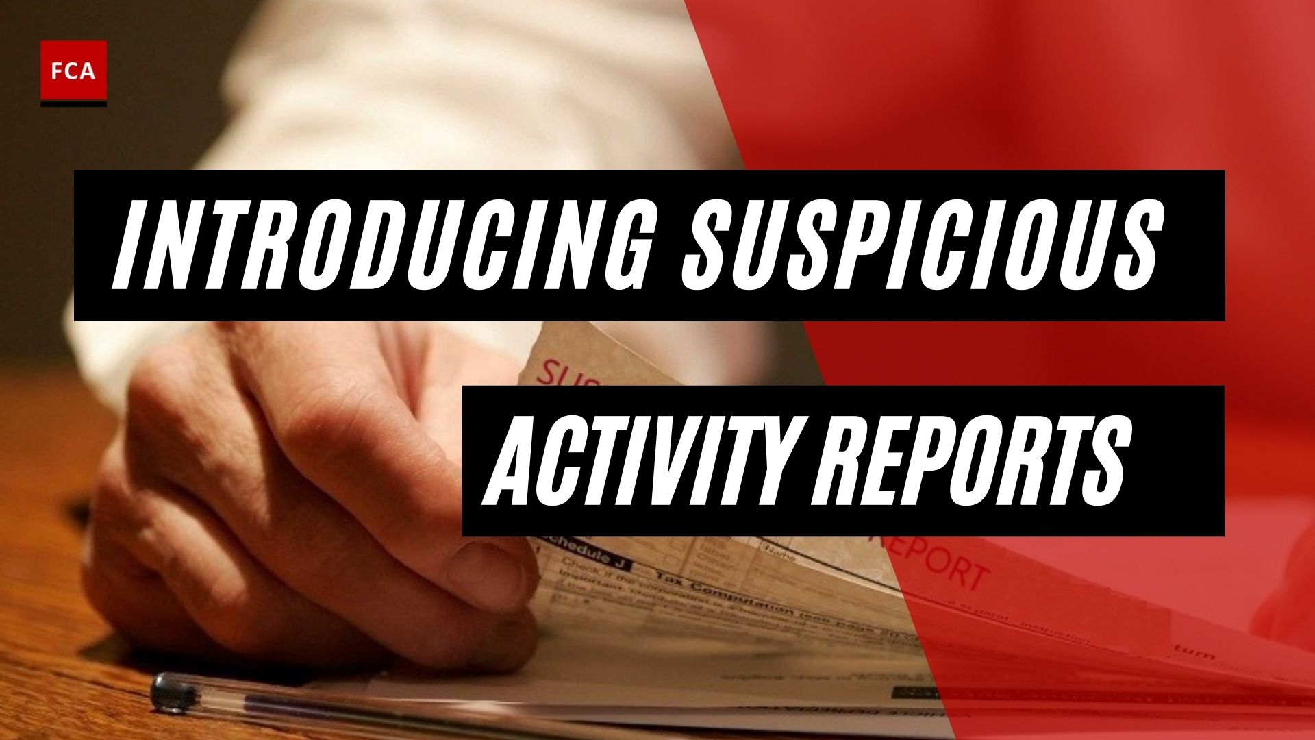 Introducing Suspicious Activity Reports