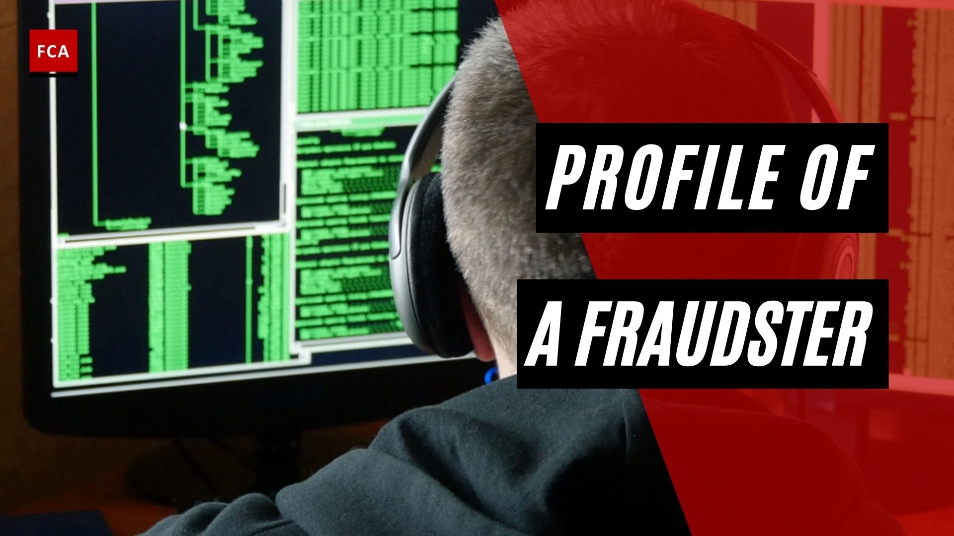 Profile Of A Fraudster
