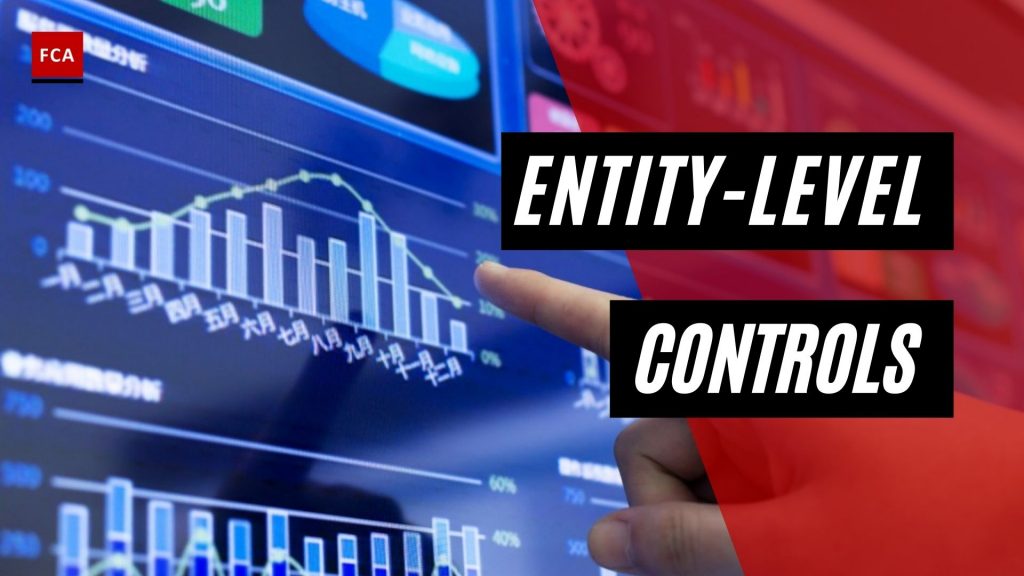 Entity-Level Controls