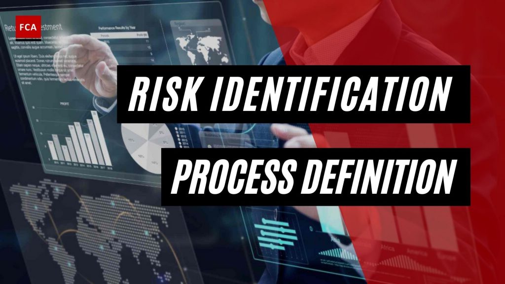 The Risk Identification Process