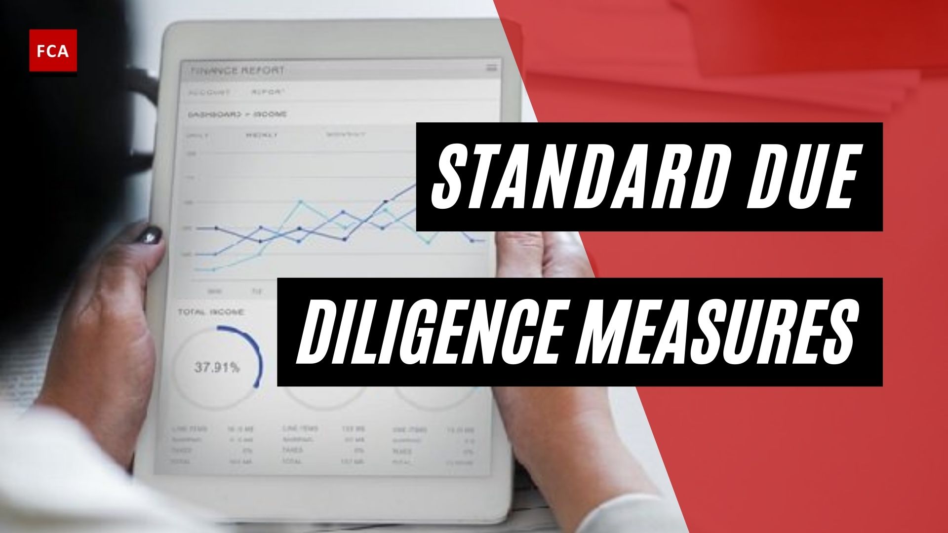 Standard Due Diligence Measures