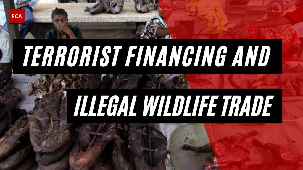 Terrorist Financing And Illegal Wildlife Trade