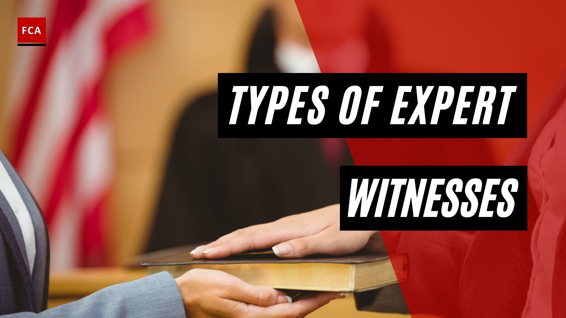 Types Of Expert Witnesses