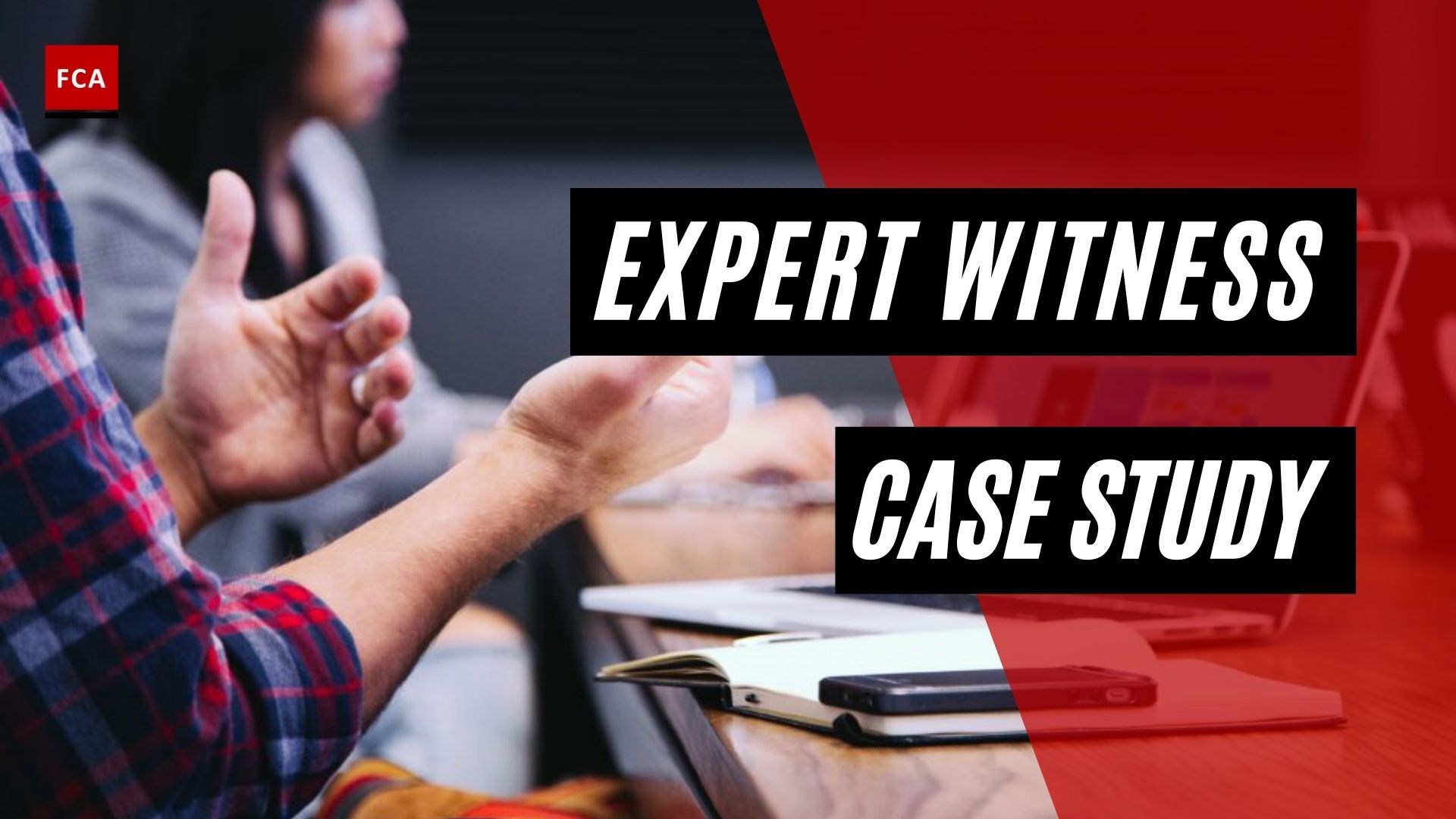 Expert Witness Case Study