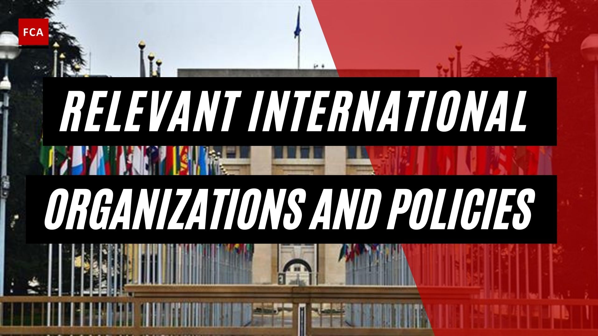 Relevant International Organizations