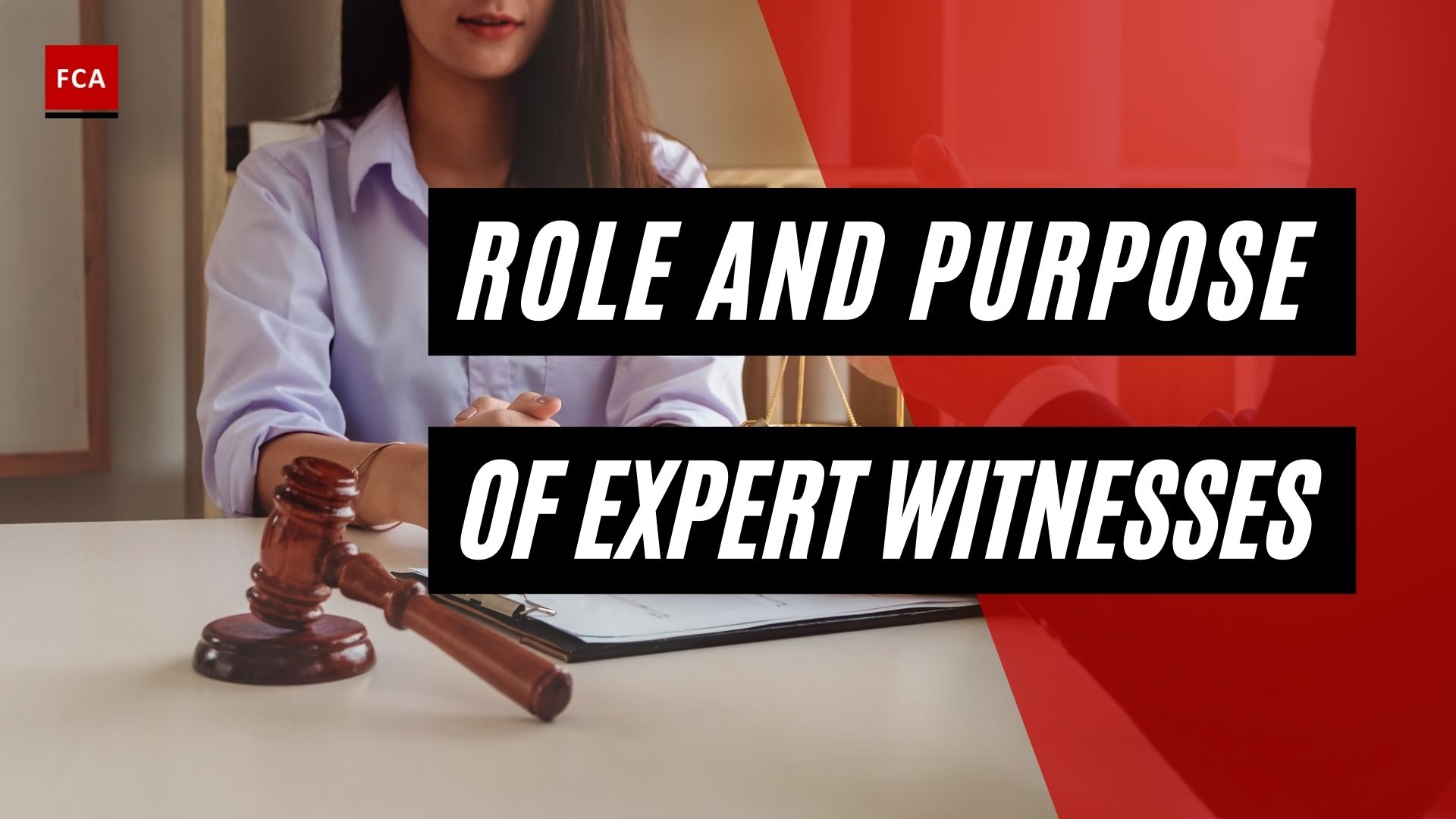 Role And Purpose Of Expert Witnesses