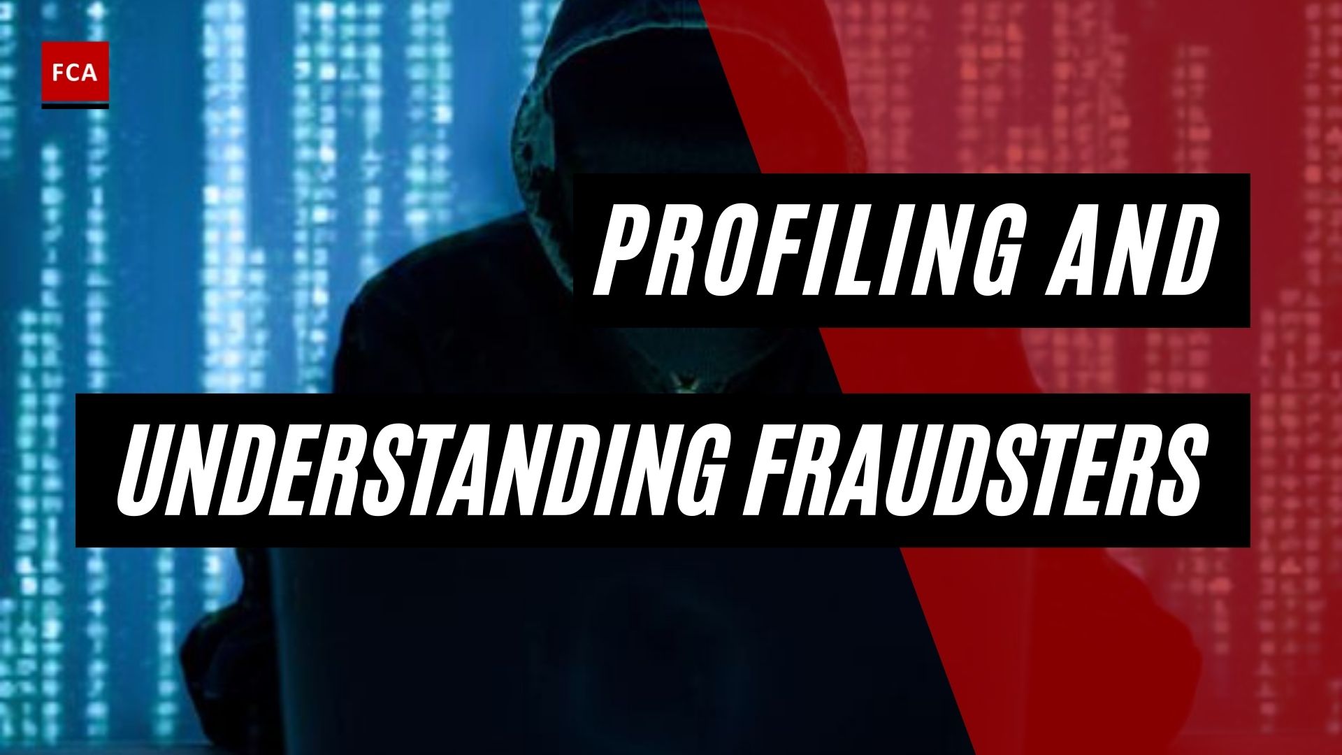 Profiling And Understanding Fraudsters