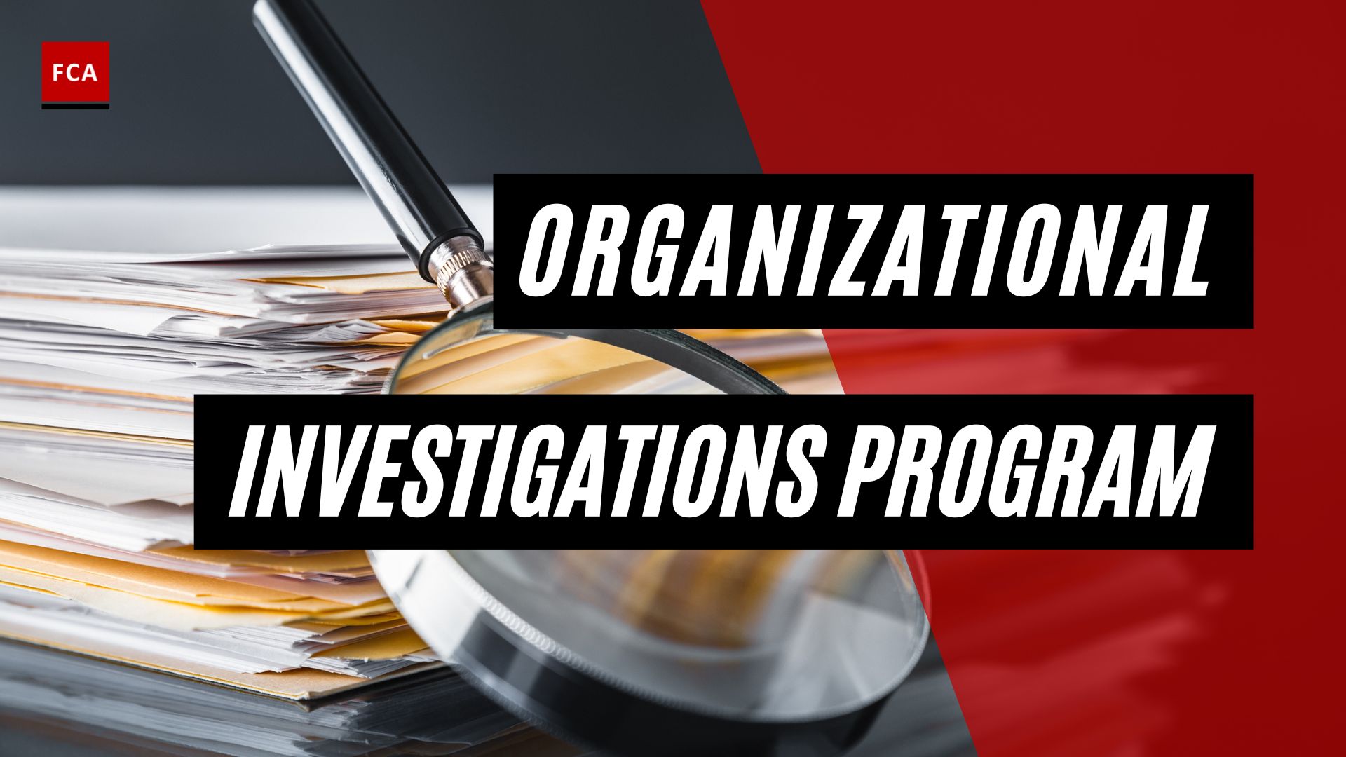 Organizational Investigations Program