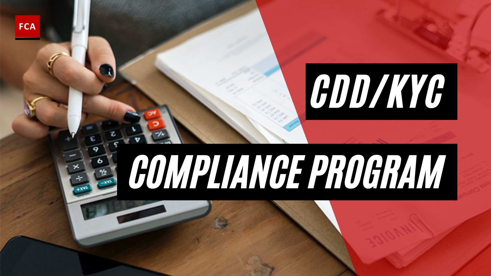 Cdd/Kyc Compliance Program