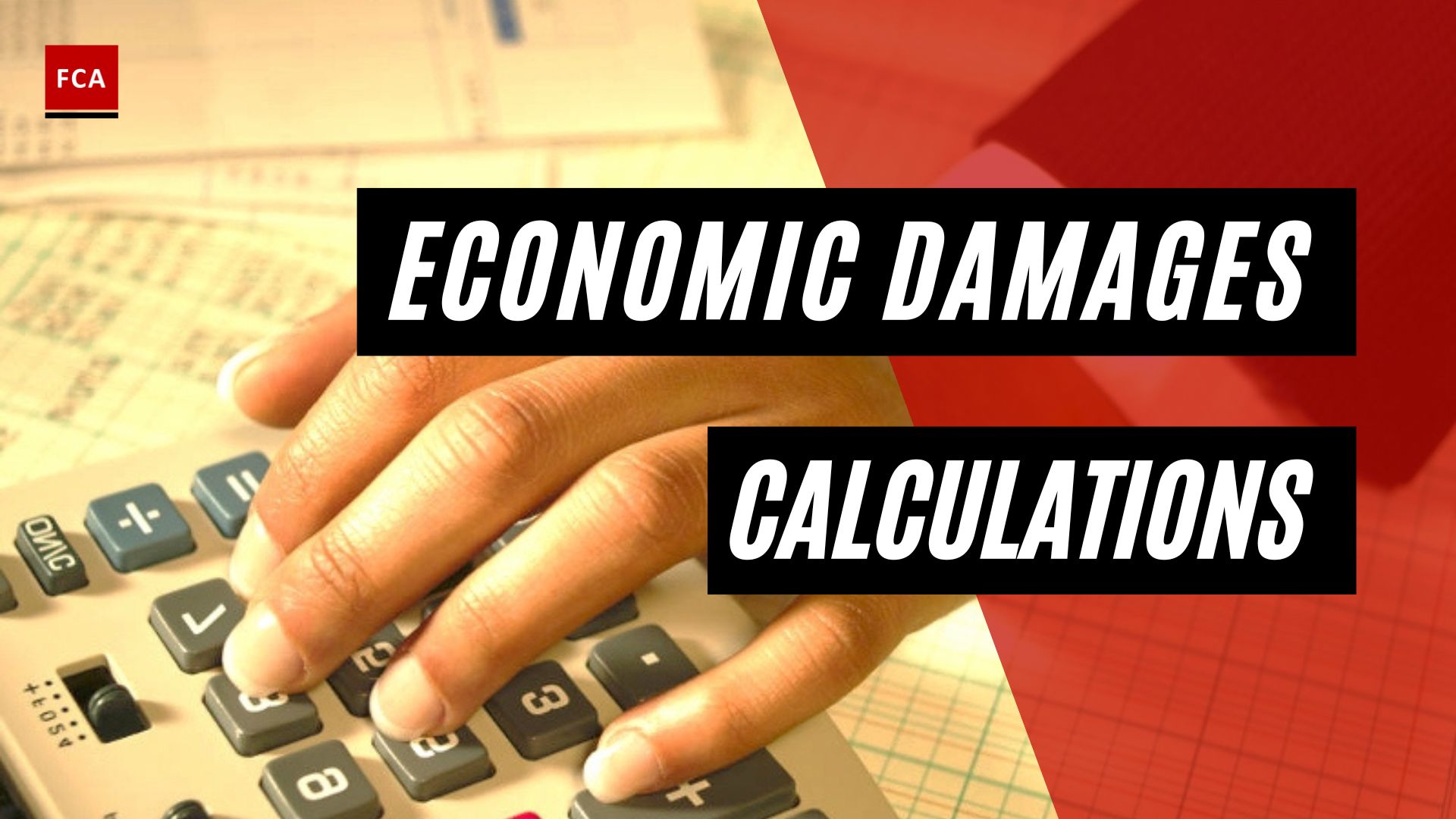 Economic Damages Calculations