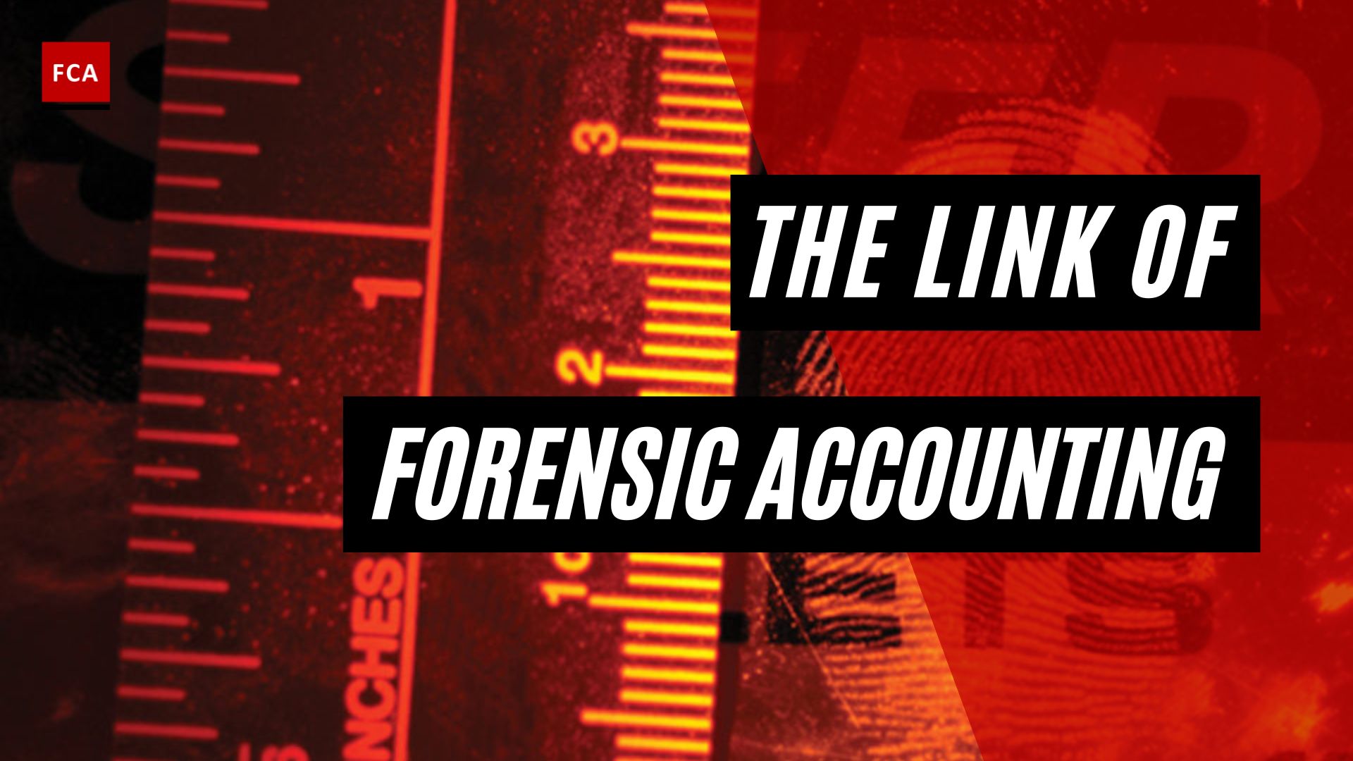 The Link Of Forensic Accounting