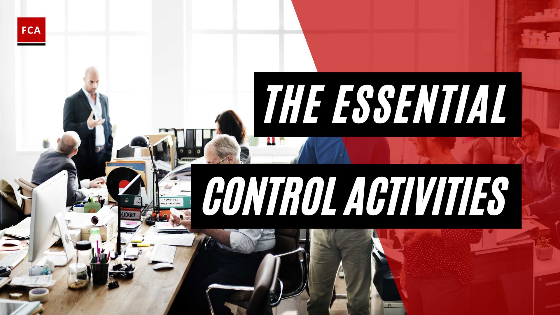 The Essential Control Activities