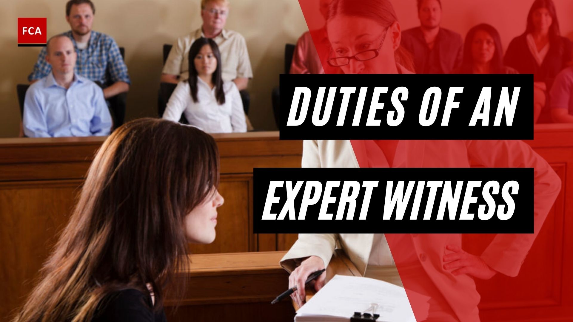 Duties Of An Expert Witness