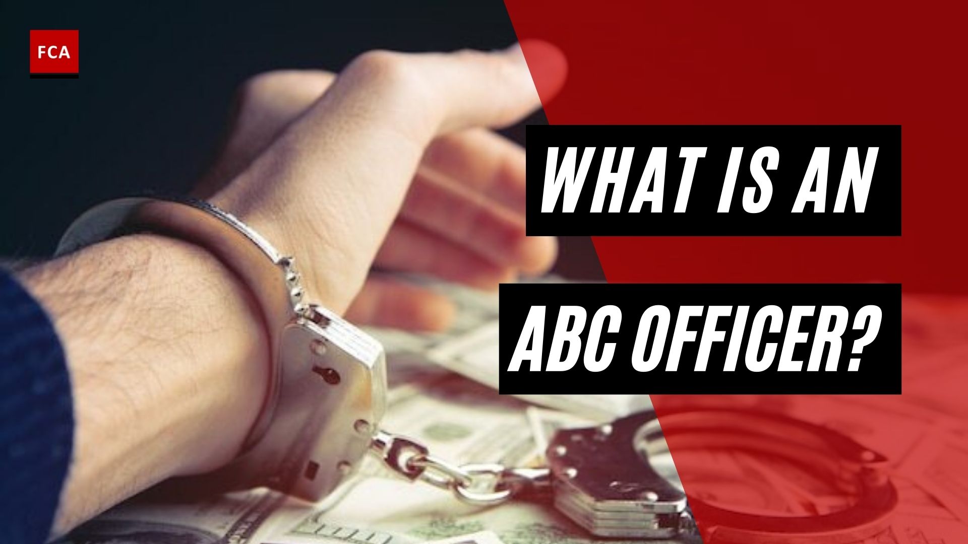 What Is An Abc Officer?