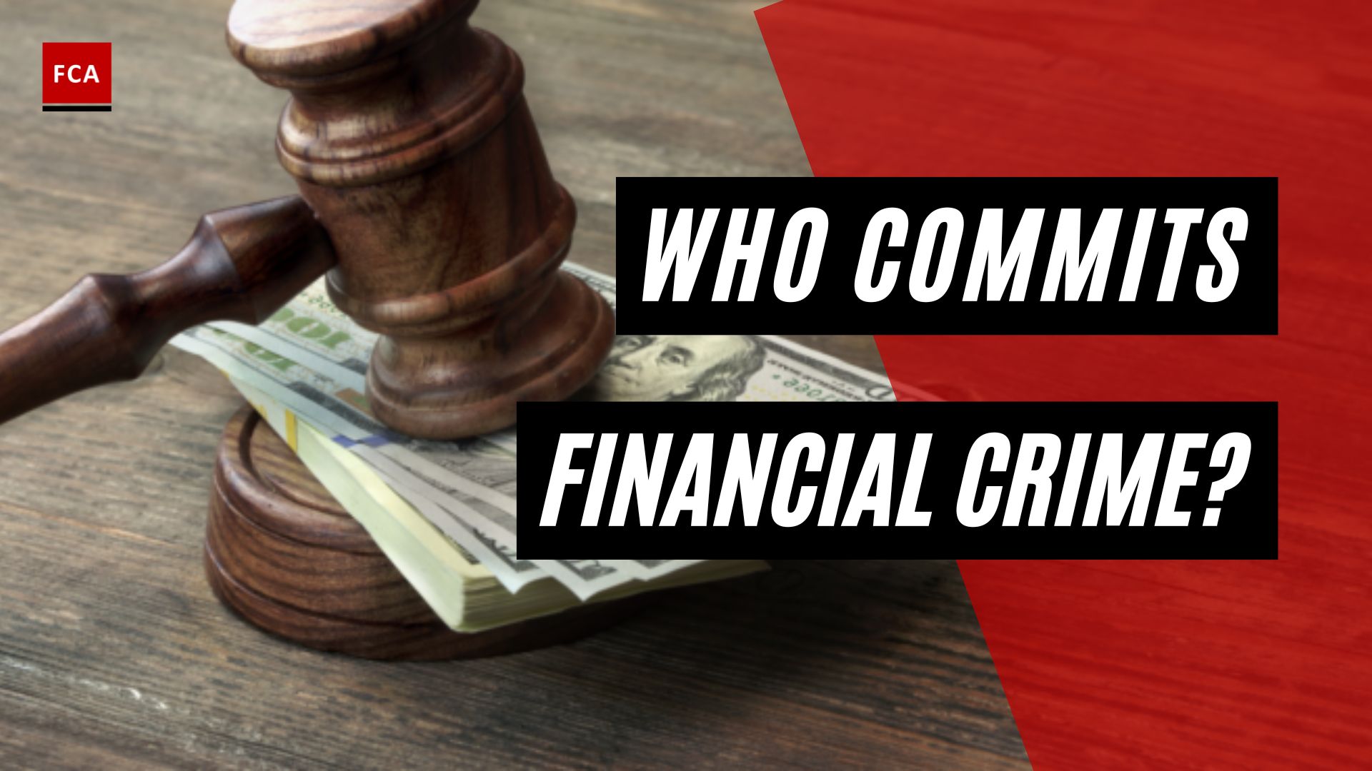 Who Commits Financial Crime?