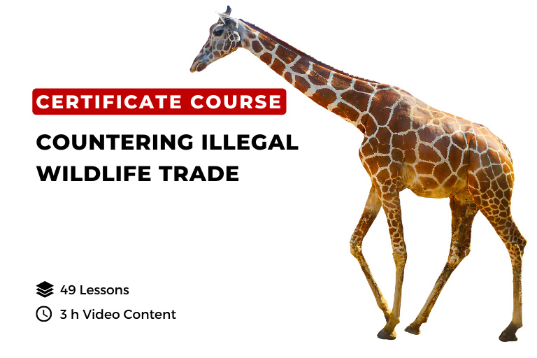 Fca006 Certificate In Countering Illegal Wildlife Trade