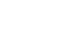 Apple Logo White