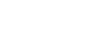 BMW Group Logo White