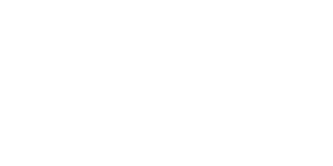 EY Logo white
