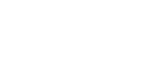 Google Logo white