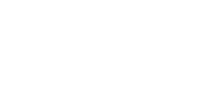 JP Morgan Logo white