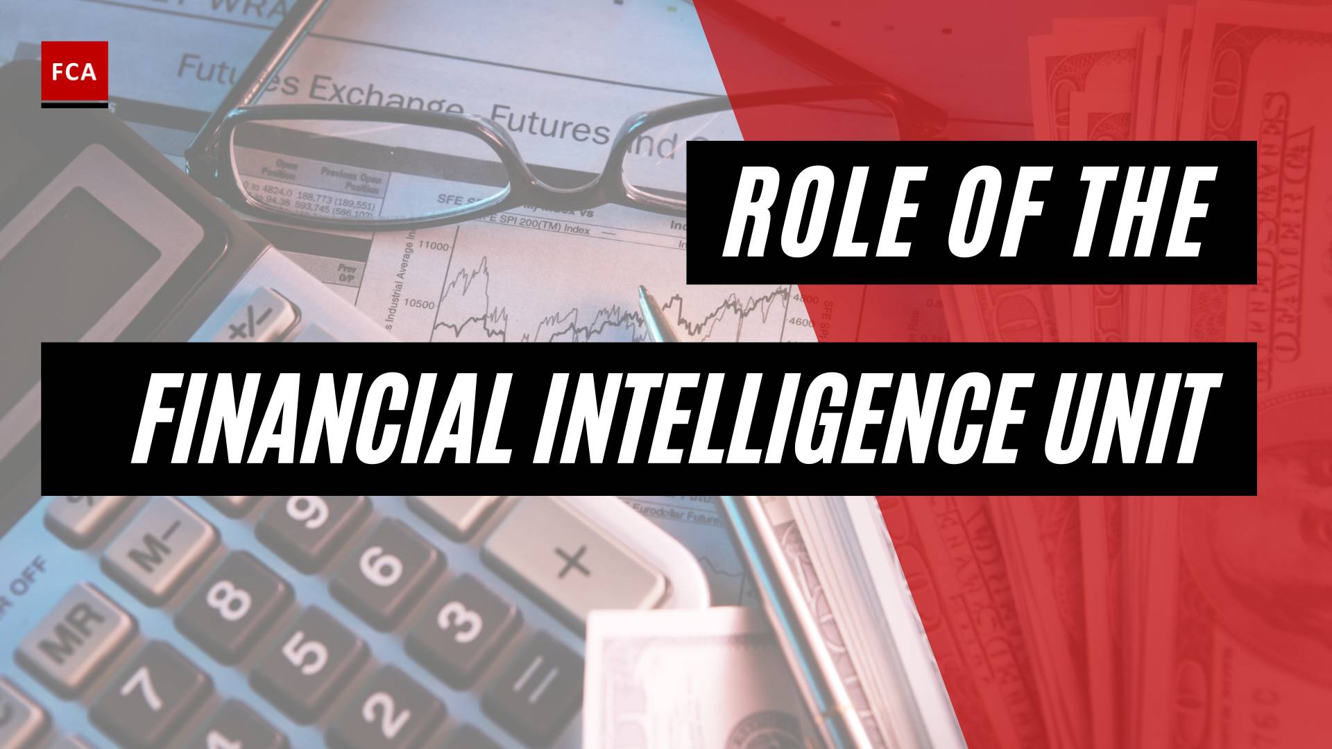 Role Of The Financial Intelligence Unit