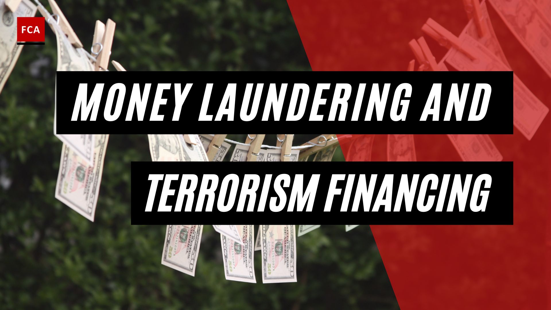 Similarities And Differences Between Money Laundering And Terrorism Financing