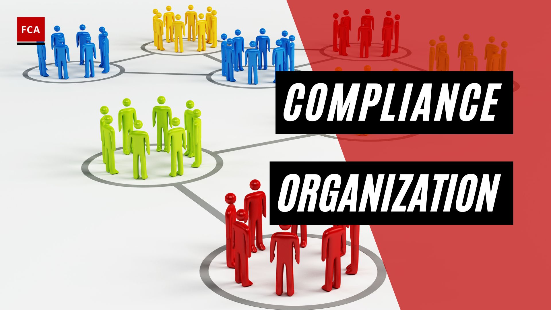 Compliance Organization