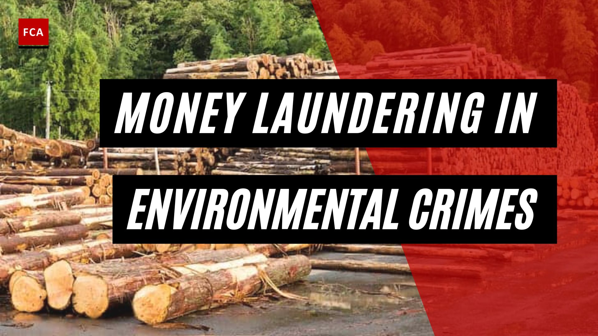Money Laundering In Environmental Crimes
