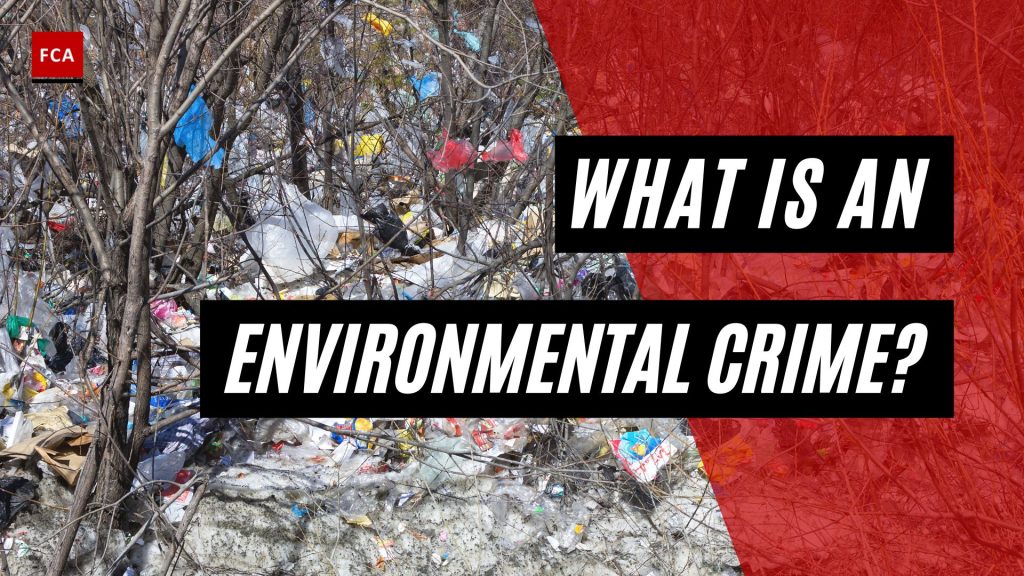 What Is An Environmental Crime?