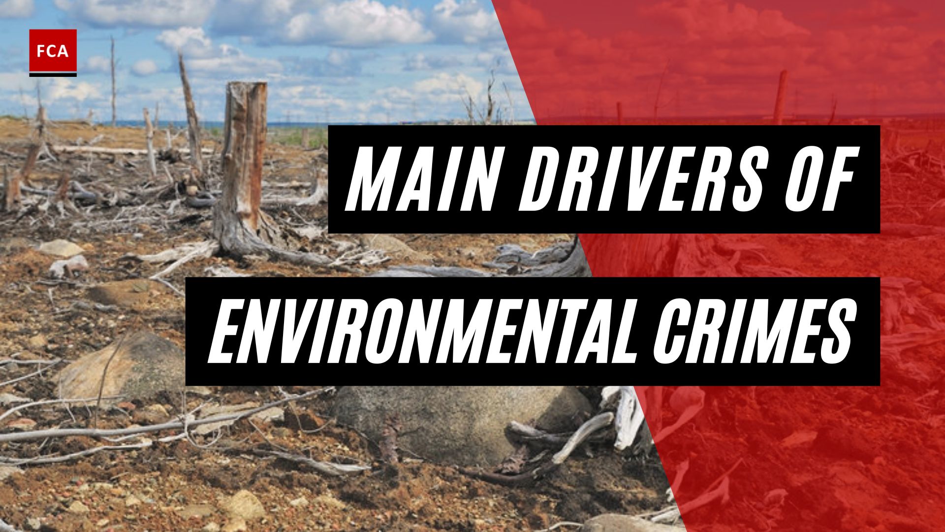 Main Drivers Of Environmental Crimes