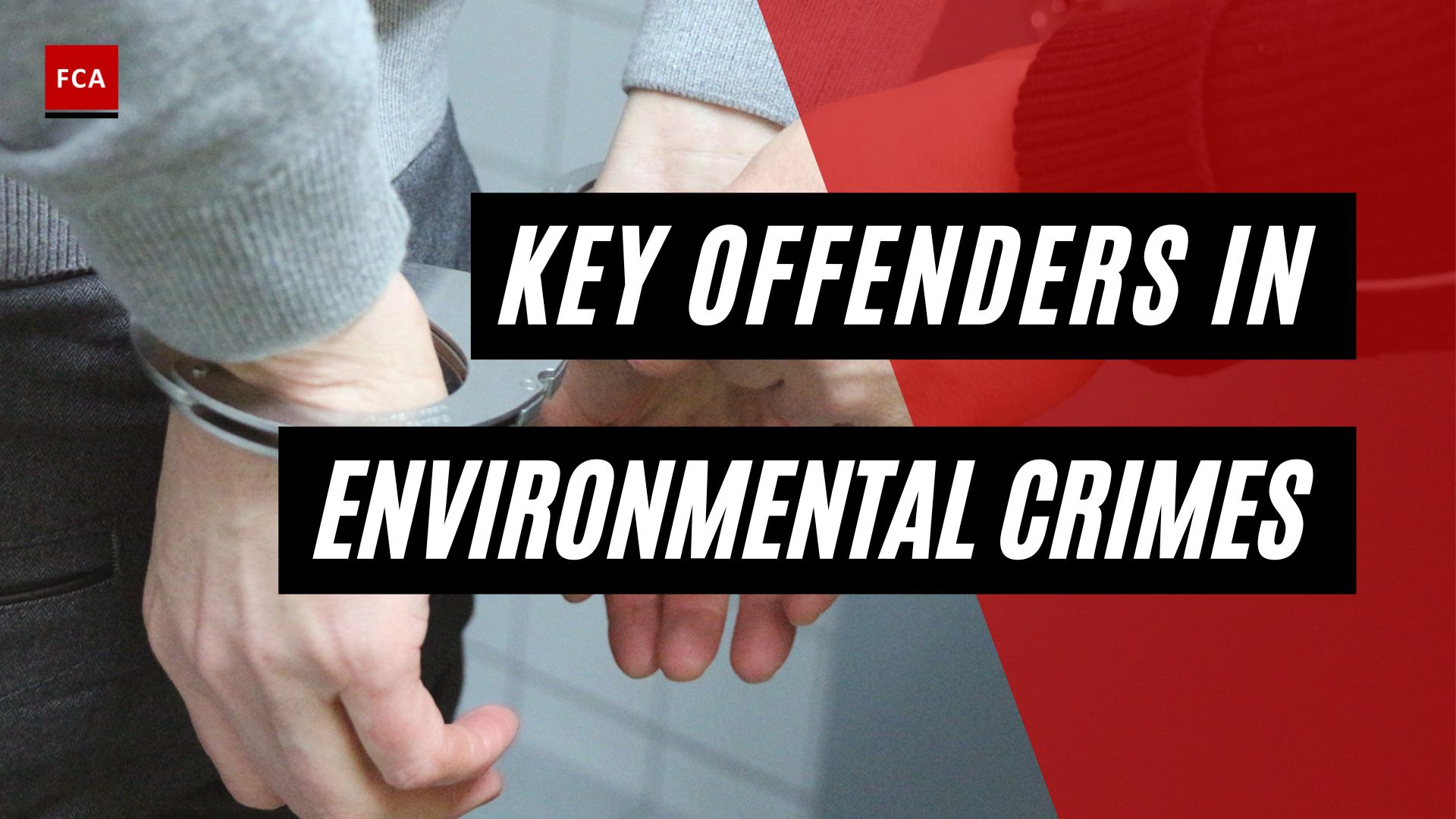 Key Offenders In Environmental Crimes