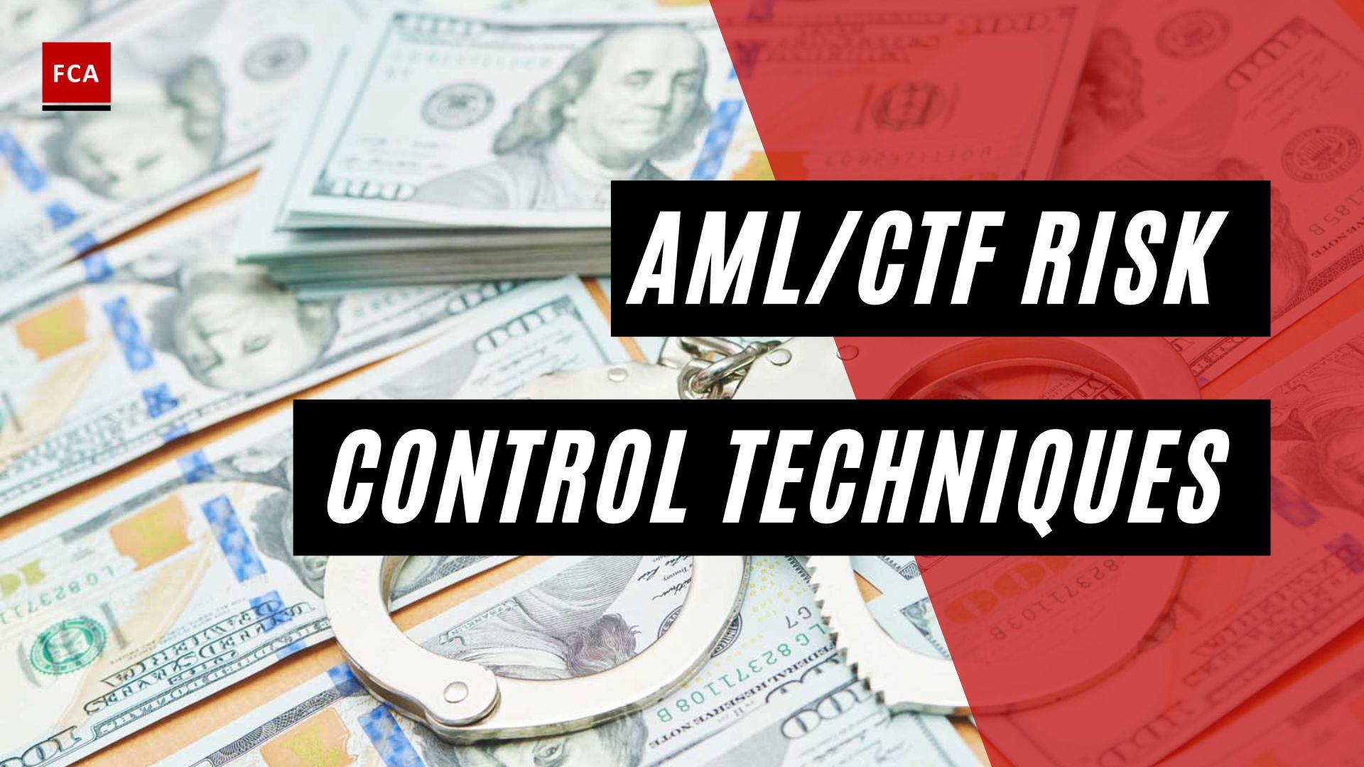Aml/Ctf Risk Control Techniques