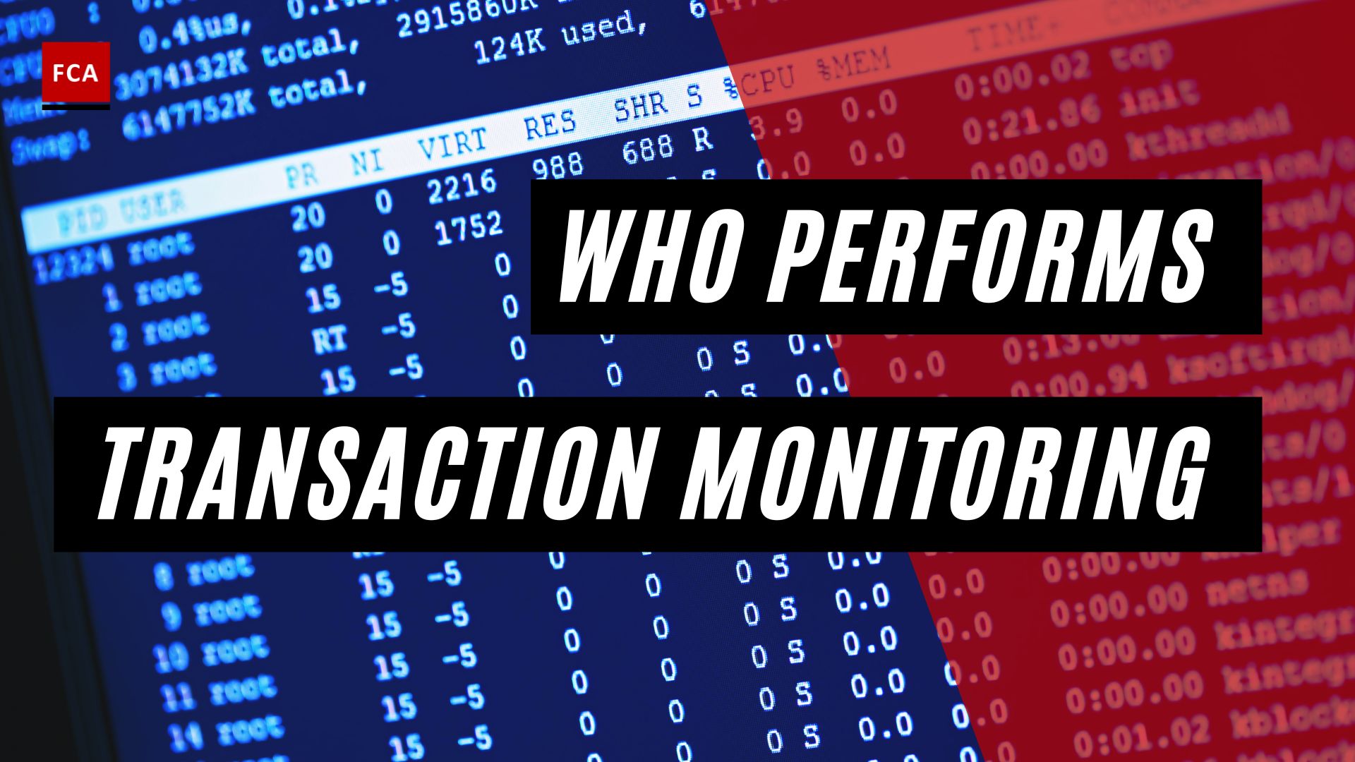Who Performs Transaction Monitoring
