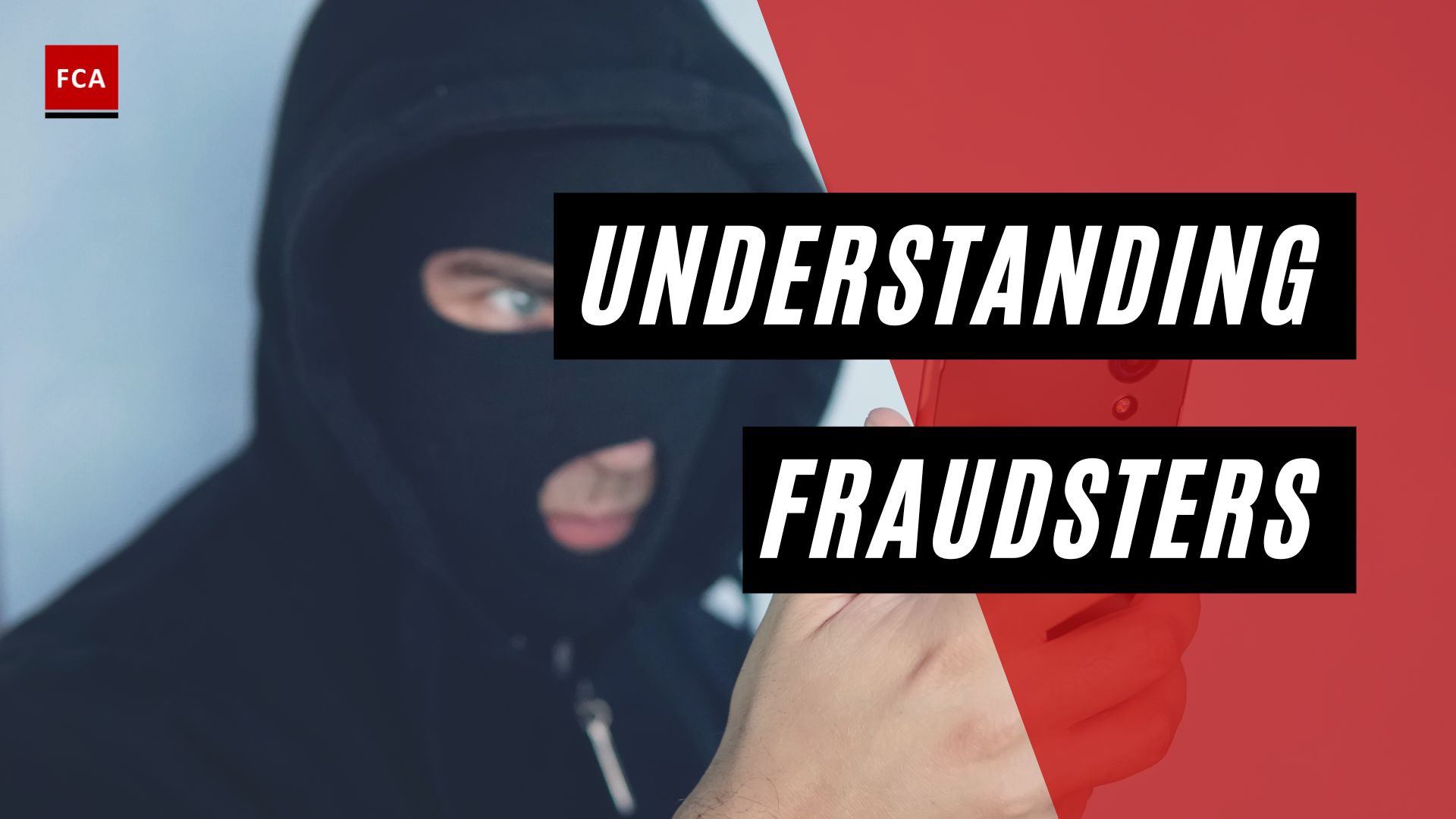 Understanding Fraudsters
