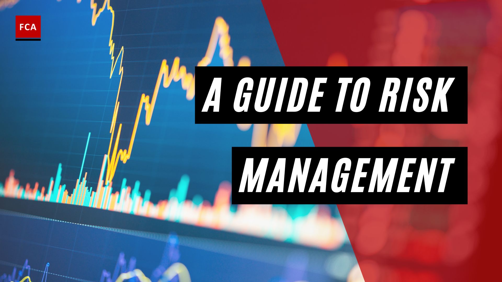 A Guide To Risk Management
