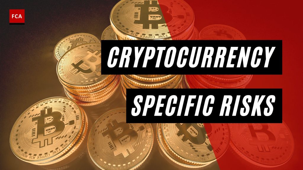 Cryptocurrency Specific Risks