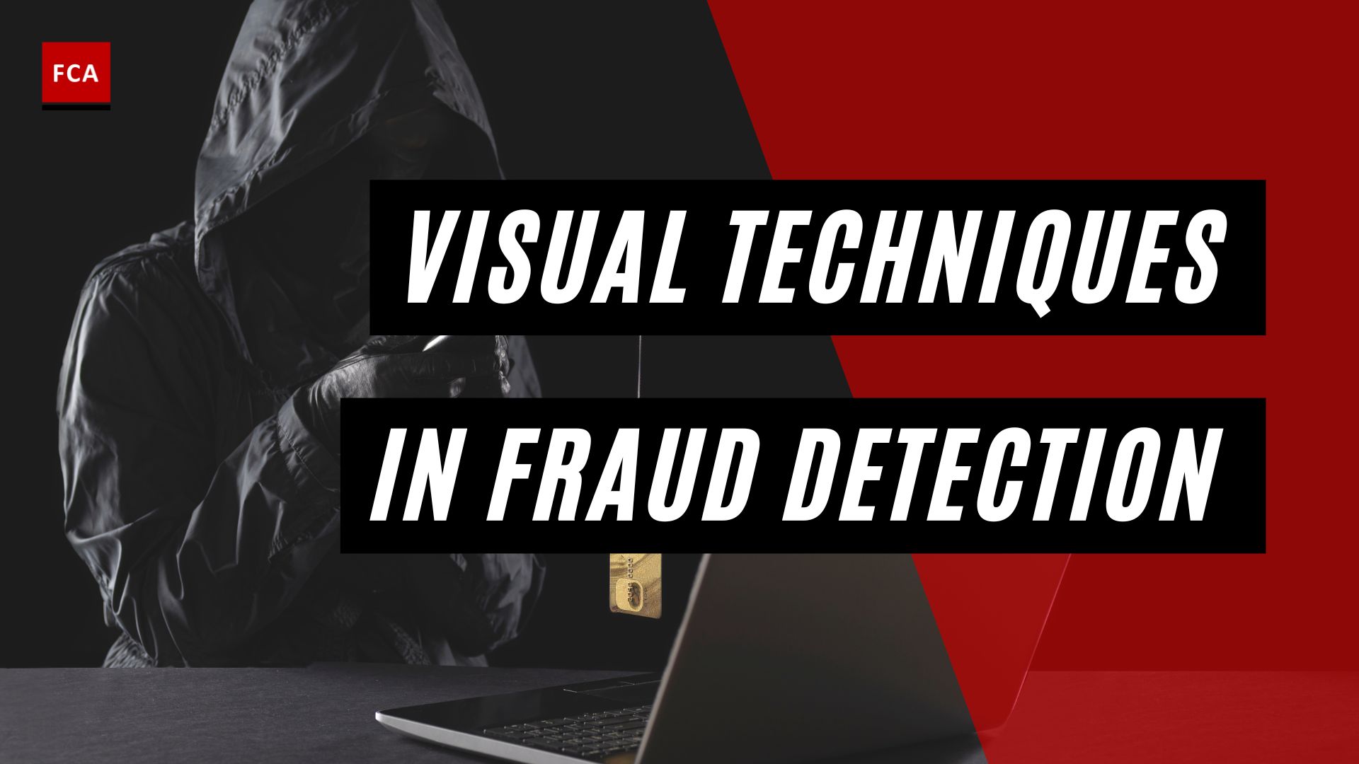 Visual Techniques In Fraud Detection