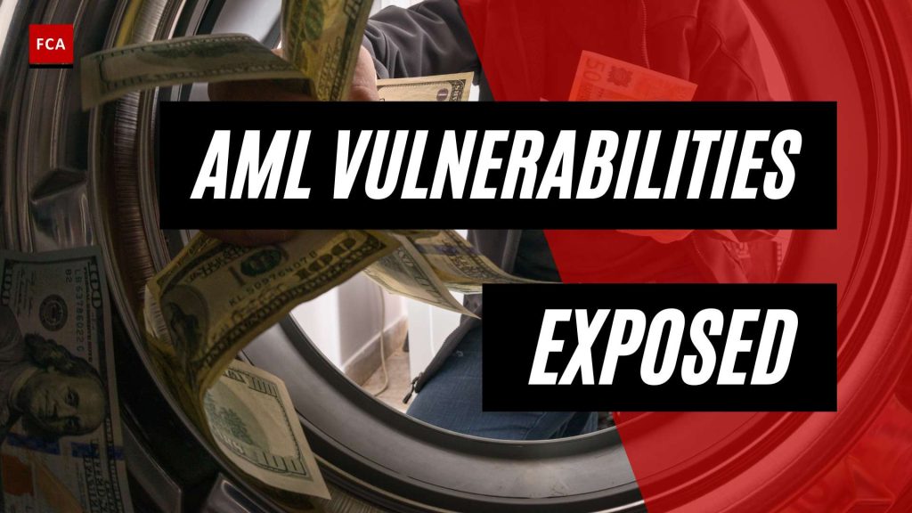 Uncovering Vulnerabilities: A Closer Look At Aml Risk Assessment
