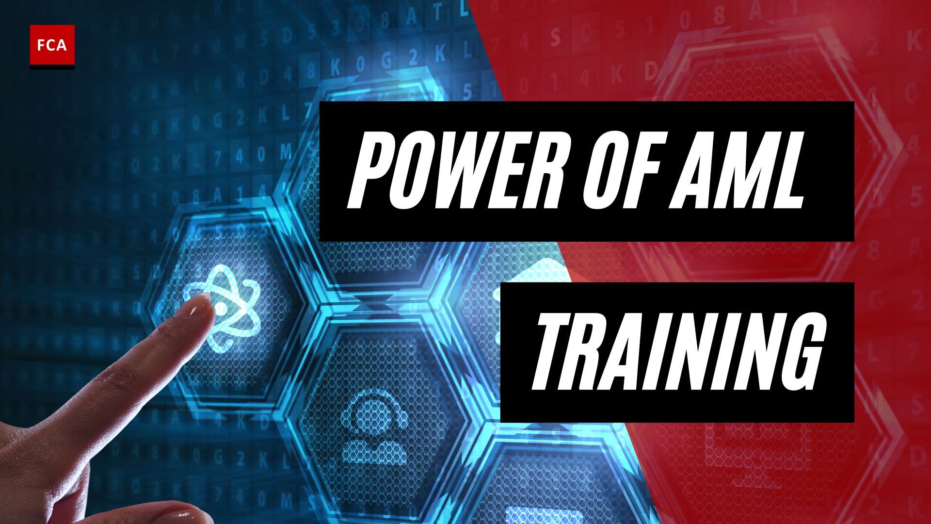 Building Strong Defenses: The Power Of Aml Training Program