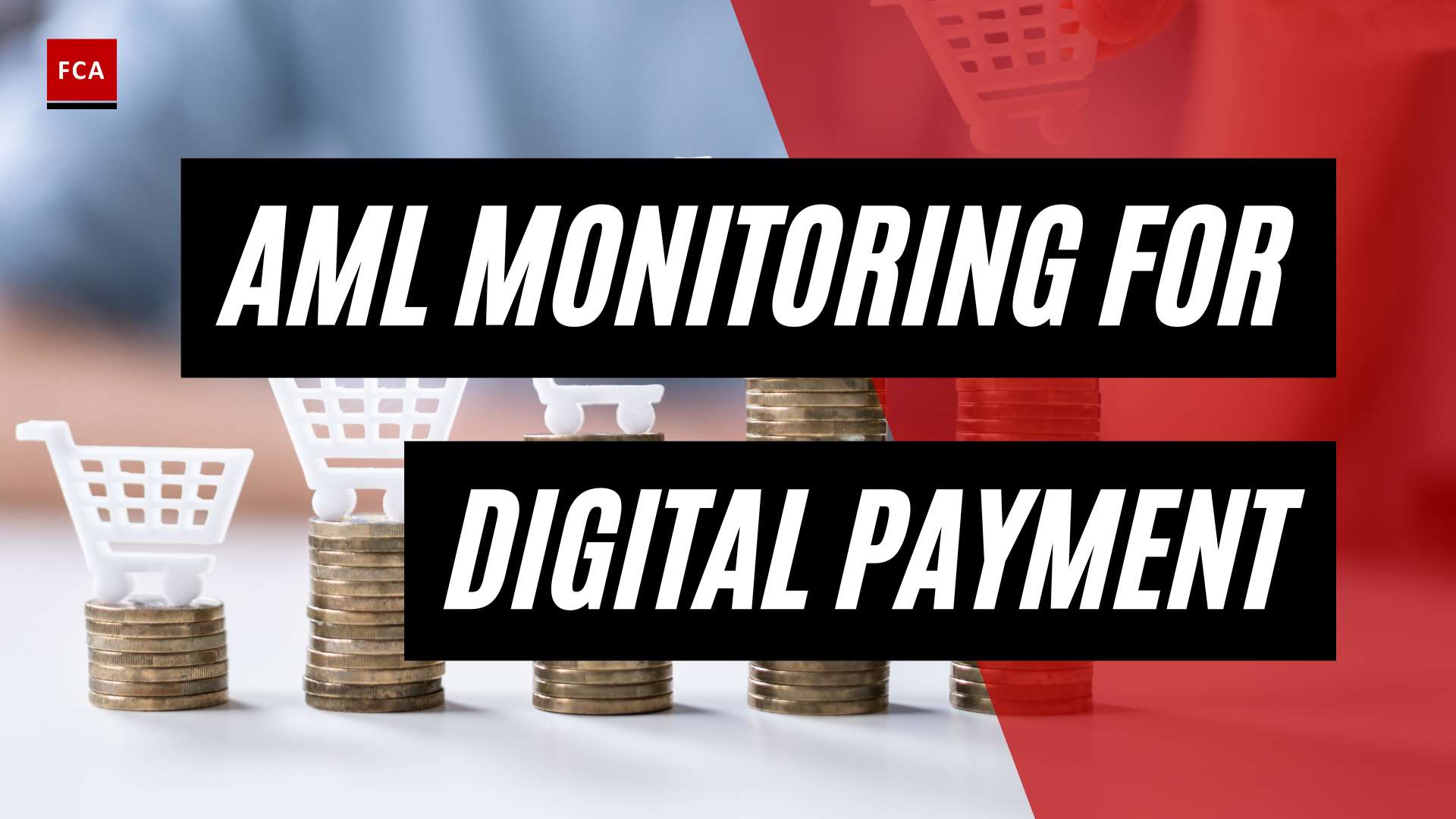 Stay One Step Ahead: Aml Monitoring For Secure Digital Payments