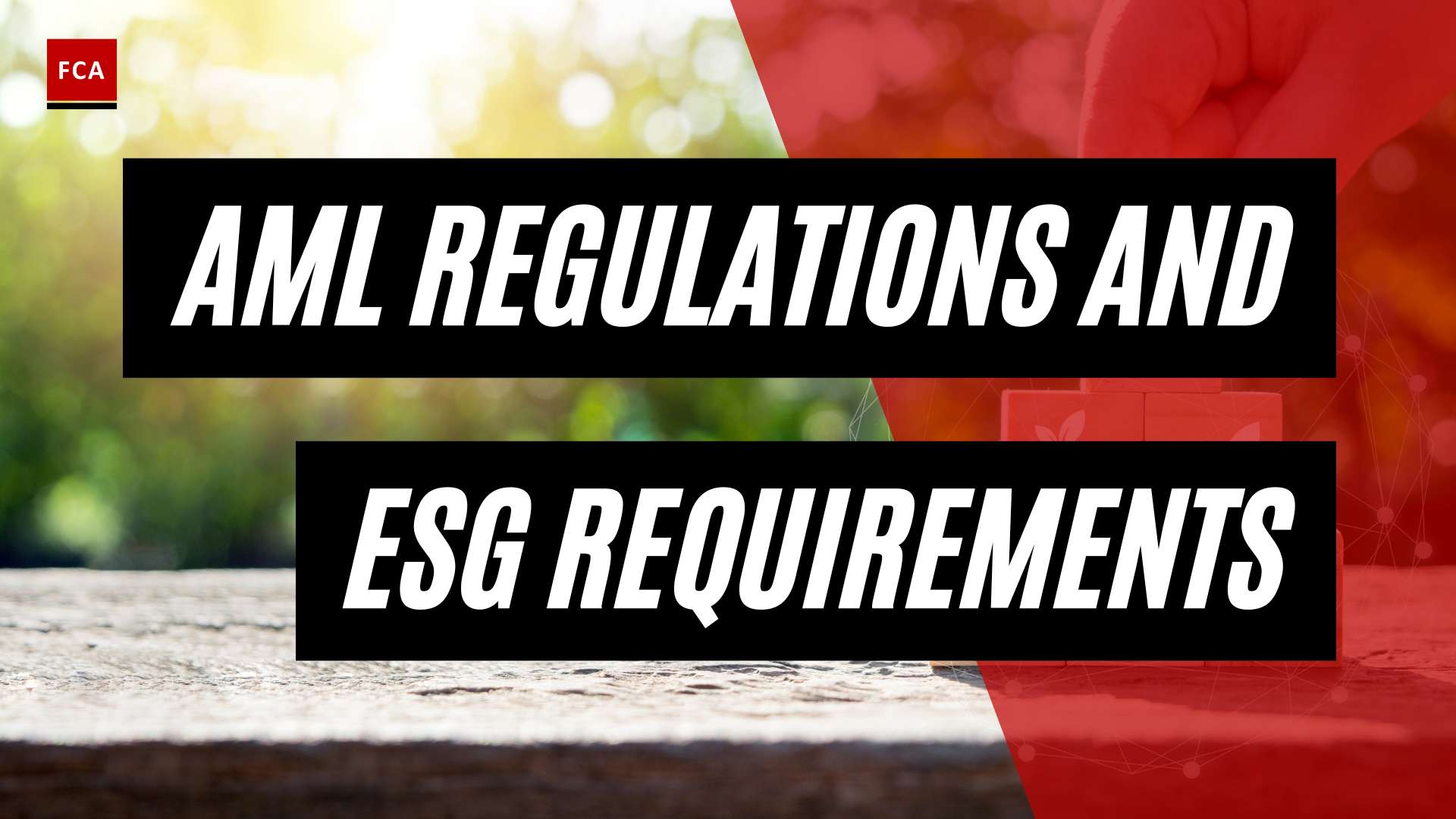 Bridging The Gap: Aml Regulations And Esg Requirements In Harmony