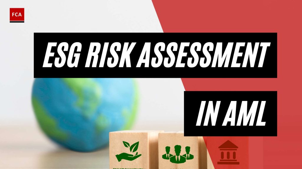 The Esg Advantage: Enhancing Aml With Risk Assessment