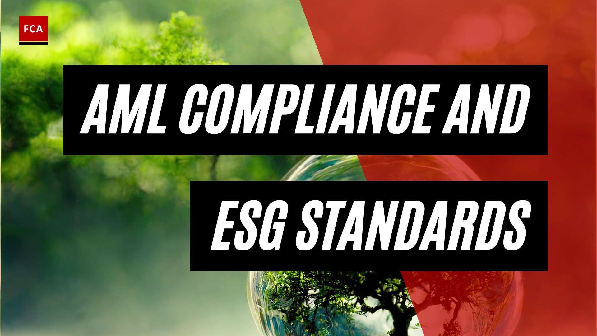 Embracing The Shift: Aml Compliance Meets Esg Standards