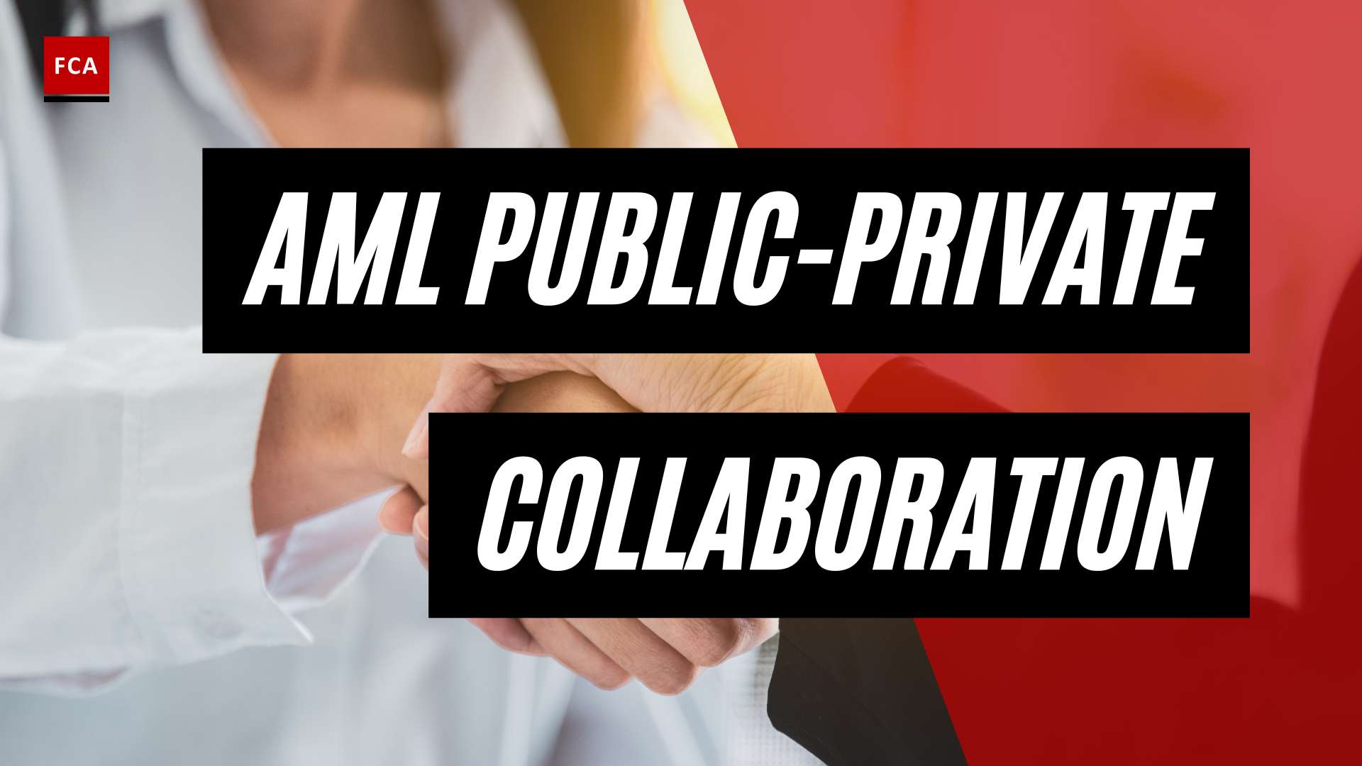 Breaking Barriers: The Future Of Aml Through Public-Private Collaboration