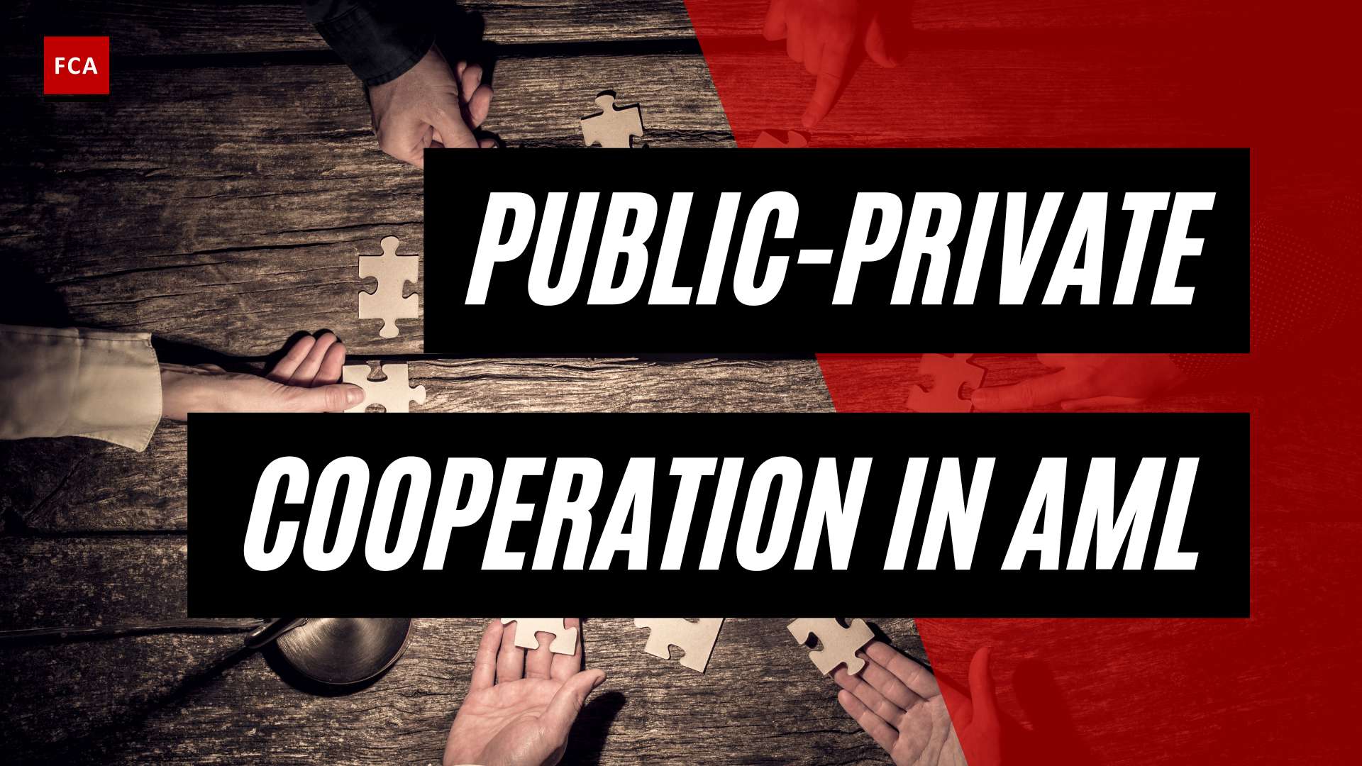 Unveiling The Future: Public-Private Cooperation In Aml Investigations
