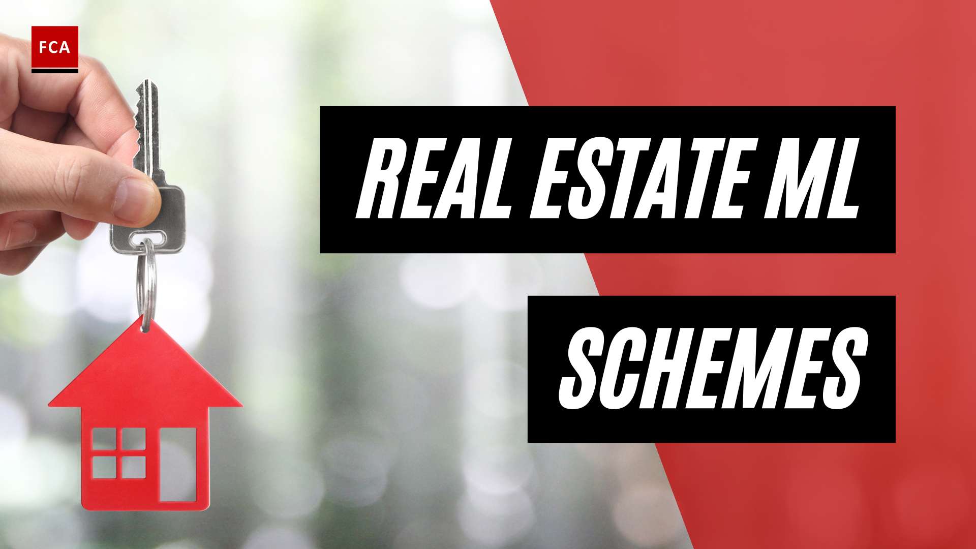Cracking Down On Illicit Funds: Real Estate Money Laundering Schemes Exposed