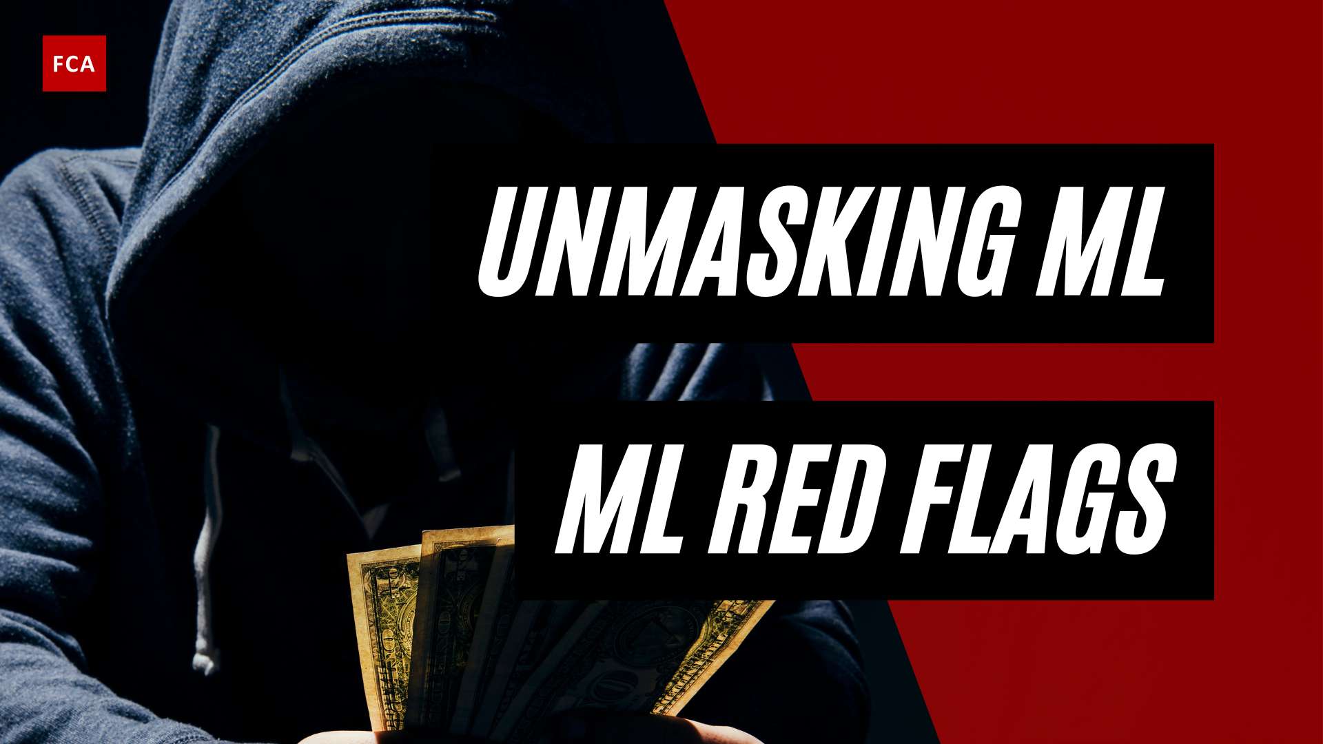 Detecting Deception: Unmasking Money Laundering Red Flags